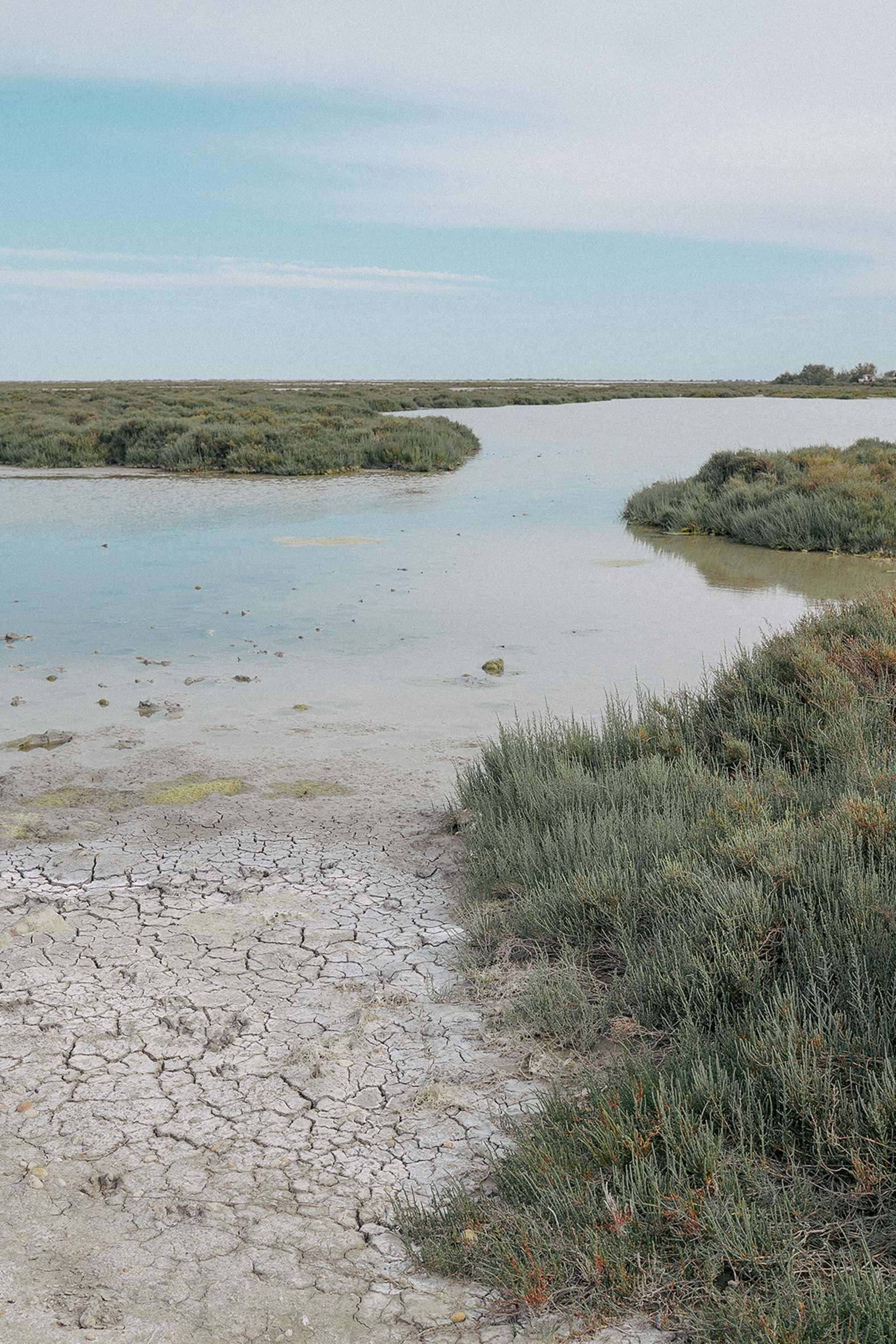 MARADJI CAMARGUE 009